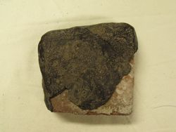 Aqueduct Brick