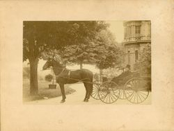 Barnum and Waldemere
