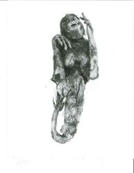 Fejee Mermaid