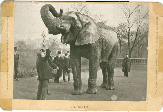 Jumbo and his Keeper